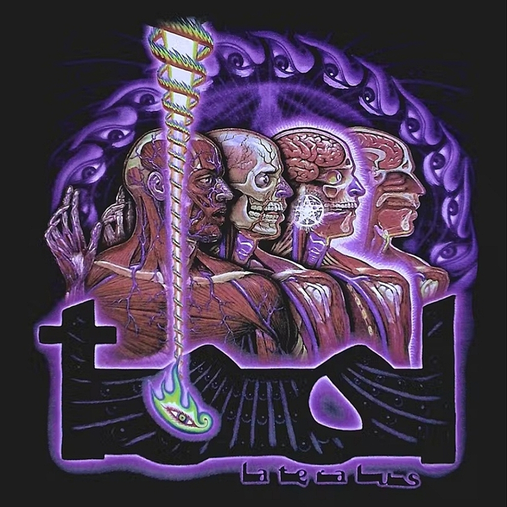 Tool Lateralus Dissection Alex Grey Shirt - Picture 5 of 5